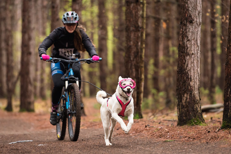 female mountain biking with dogs wearing rexspecs goggles @stephanddogz