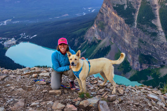 How To Properly Fit A Dog Harness For Ultimate Fit And Comfort