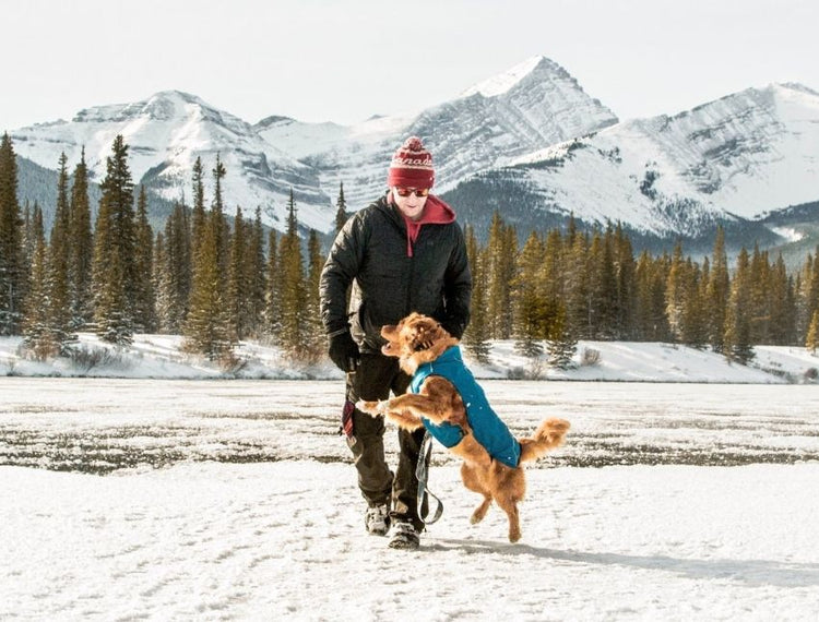 Tips for Protecting Your Dog’s Paws During Winter Hikes