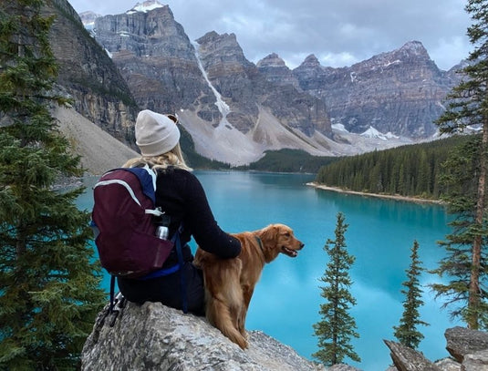 How To Prepare Your Dog for Their First Backpacking Trip