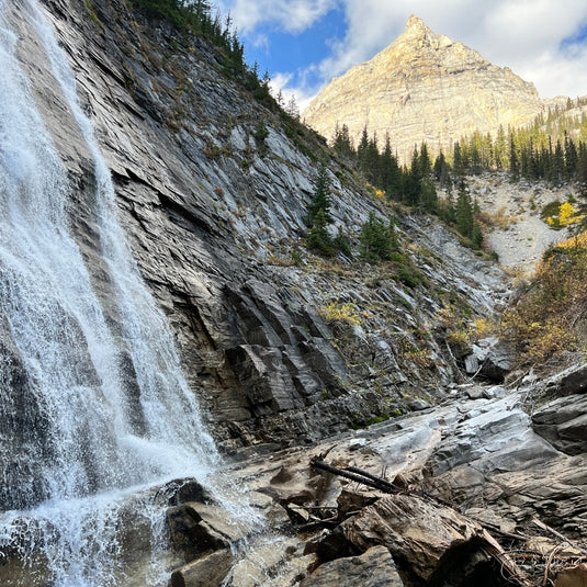 16 Dog-Friendly Waterfalls Near Calgary and Across Alberta, Worth Chasing With Your Dog