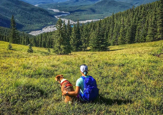 dog and woman sitting on a mountain