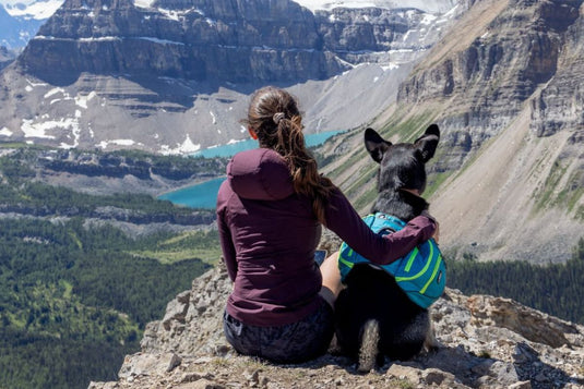 Earth Day with Your Dog: Eco-Friendly Dog Products & Sustainable Gear for Everyday Adventures