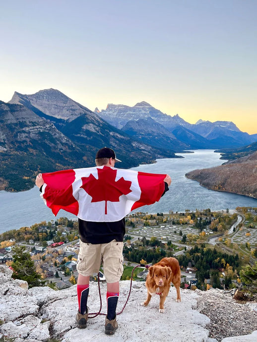 Best Off-Leash Dog Parks in Canada [Ultimate Guide for 2024]