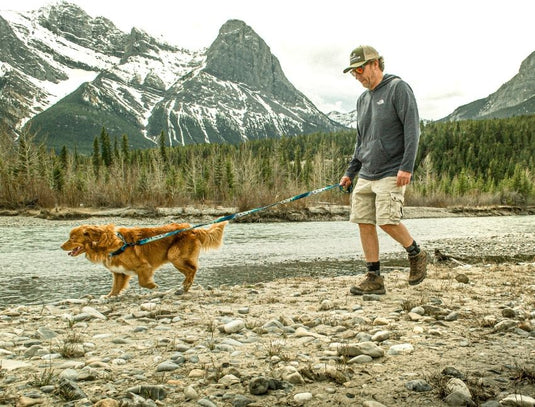 Health Benefits of Adventuring Outdoors With Your Dog