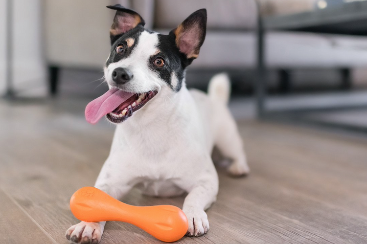 West online paw warranty