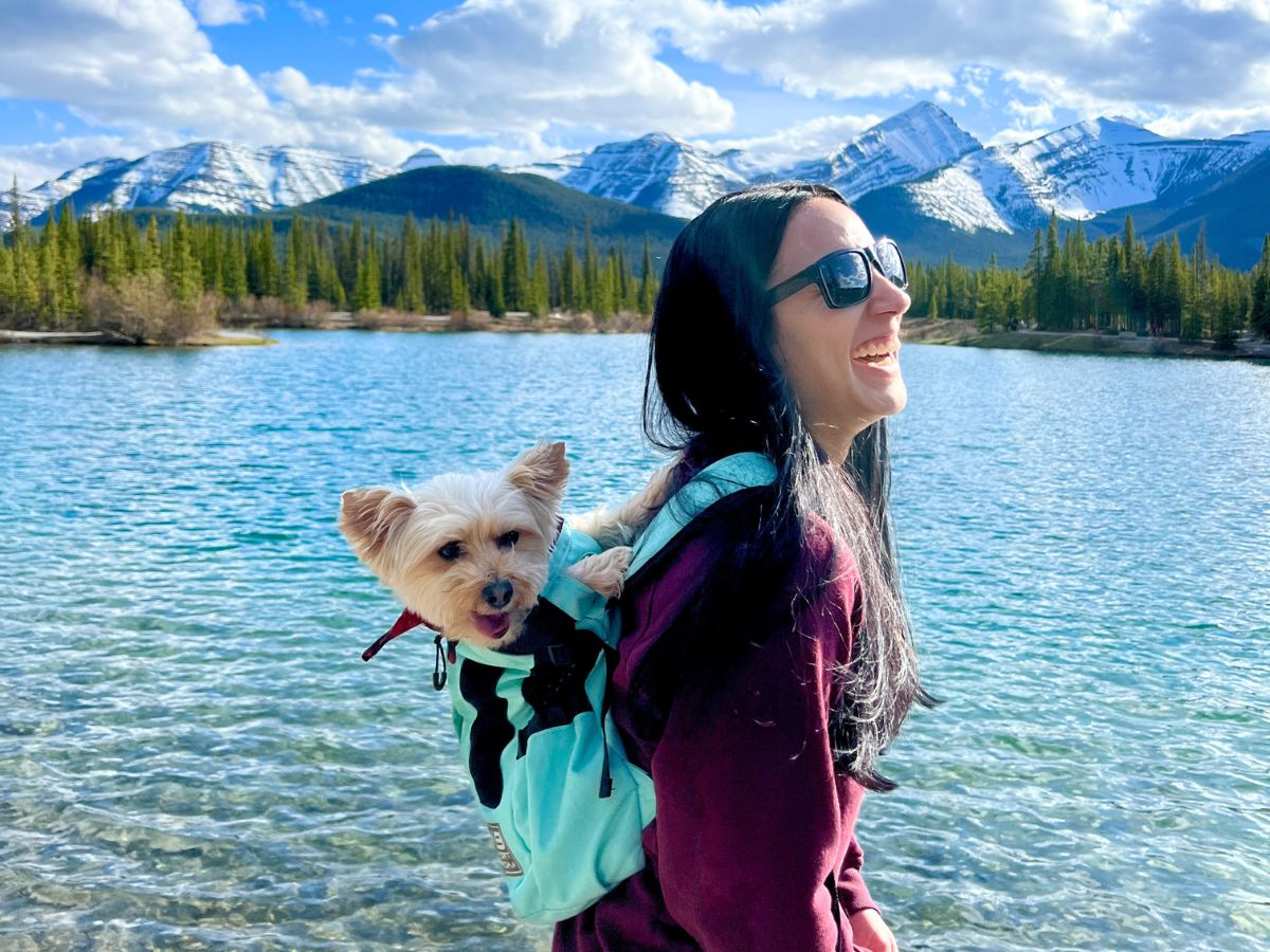 Dog carrying harness clearance hiking