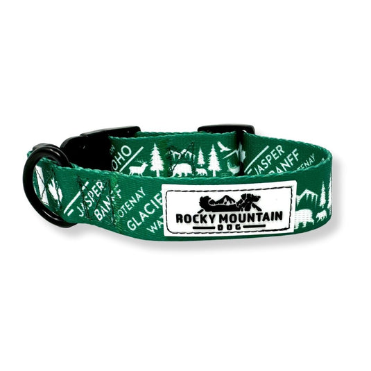 Dog Collars: Buy Dog Neck Belts at Best Price in India