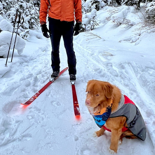 Skiing