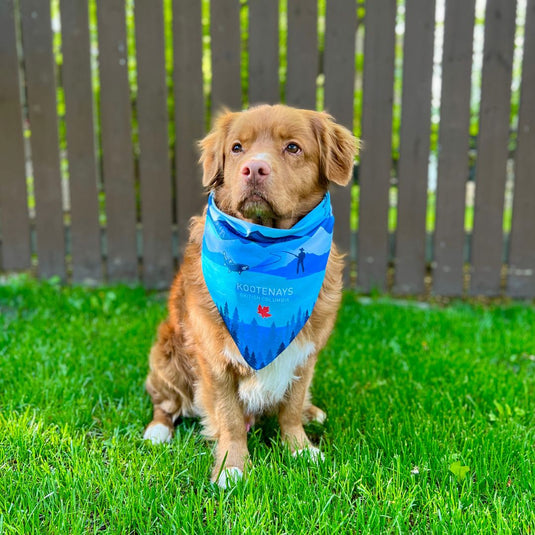 Kootenay Bandana