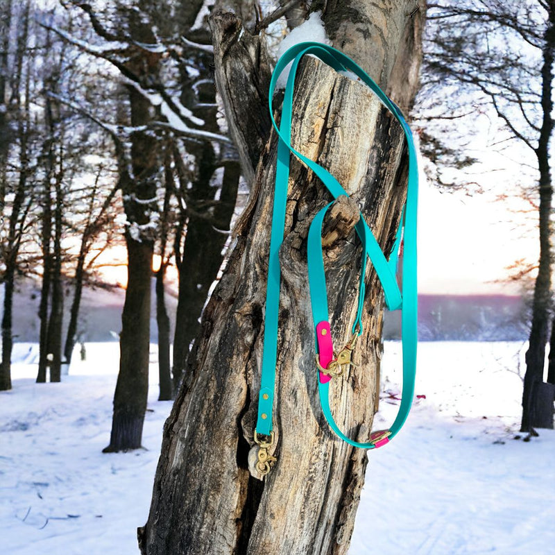 Load image into Gallery viewer, RMD Hands-Free Biothane Waterproof Leashes
