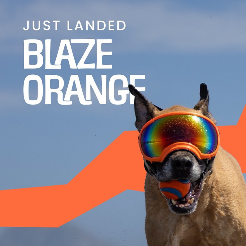 Load image into Gallery viewer, V2 Large Dog Goggles
