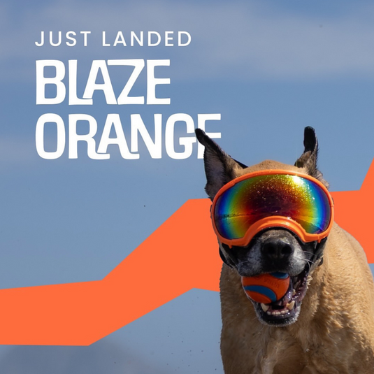 V2 Large Dog Goggles