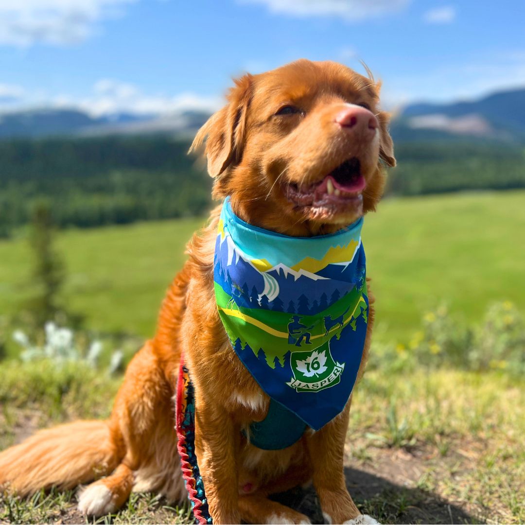 Jasper National Park Dog Bandana