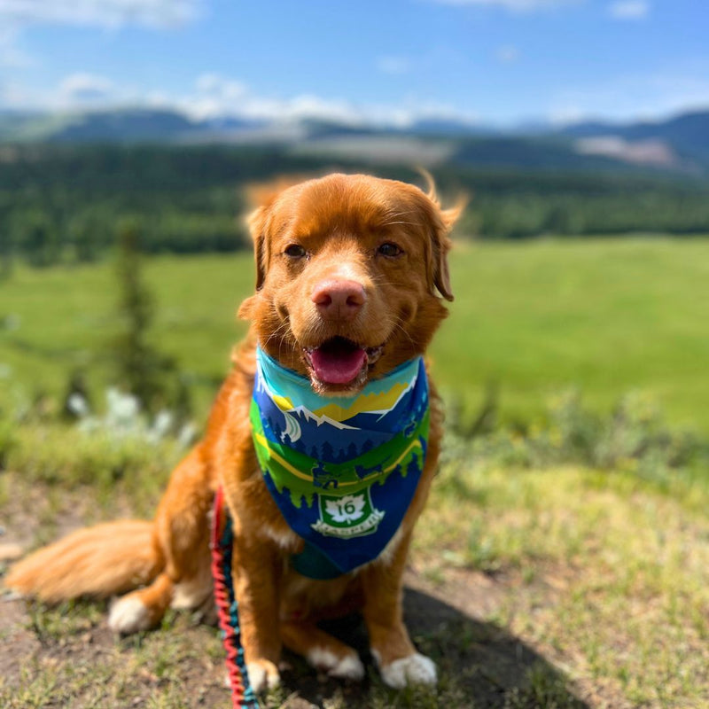 Load image into Gallery viewer, Jasper National Park Dog Bandana - Rocky Mountain Dog

