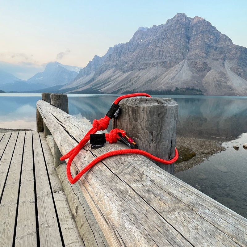 Load image into Gallery viewer, Fernie Rope Dog Leash
