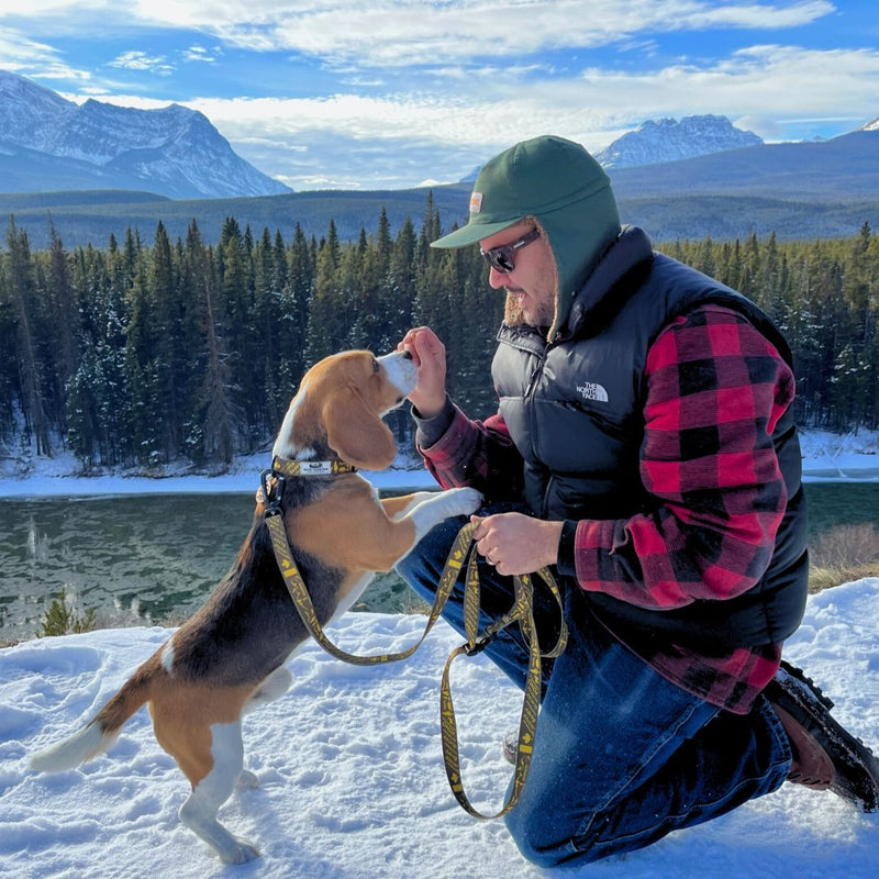 Load image into Gallery viewer, man kneeling in the snow petting a beagle in castle lookout trailhead, banff, alberta
