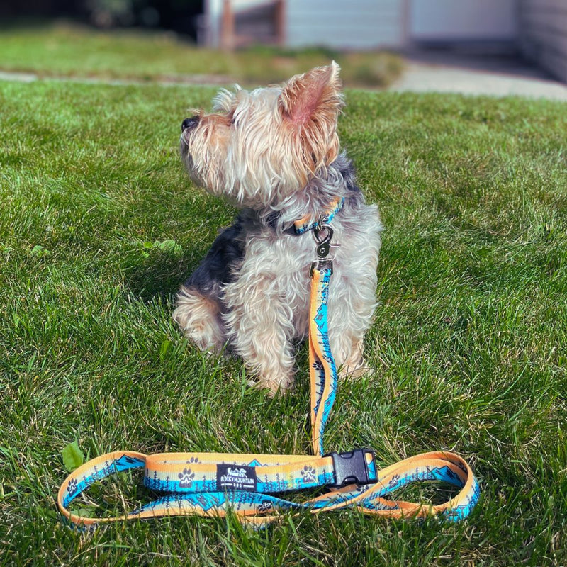 Load image into Gallery viewer, Paw Mountain Dog Leash
