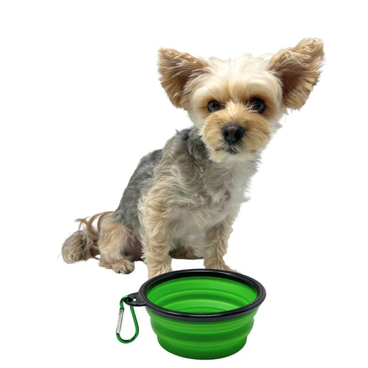 Collapsible Silicone Dog Bowl