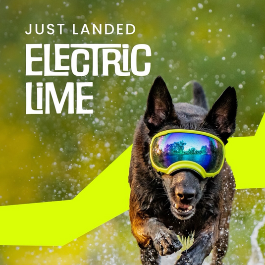 V2 Large Dog Goggles