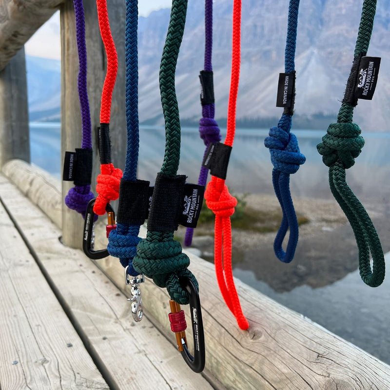 Load image into Gallery viewer, Fernie Rope Dog Leash
