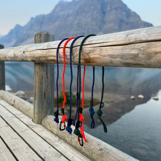 Several rope dog leashes hanging on a wooden rail in bow lake, banff