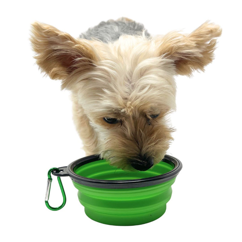 Load image into Gallery viewer, Collapsible Silicone Dog Bowl
