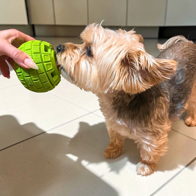 Load image into Gallery viewer, The Sphere Interactive Frozen Treat Toy
