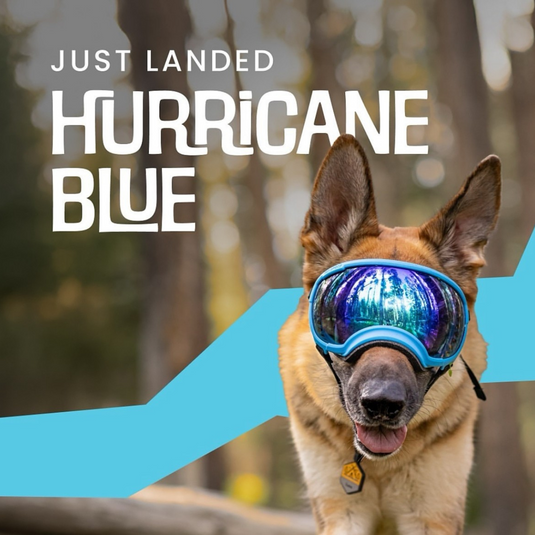 V2 Large Dog Goggles