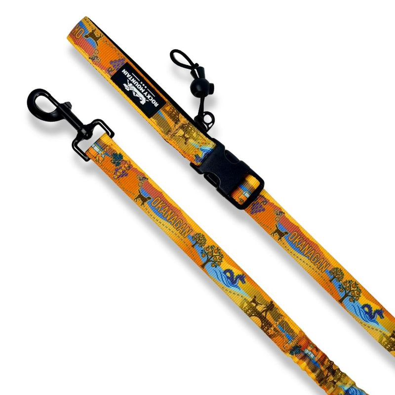 Load image into Gallery viewer, Okanagan All Mountain Dog Leash
