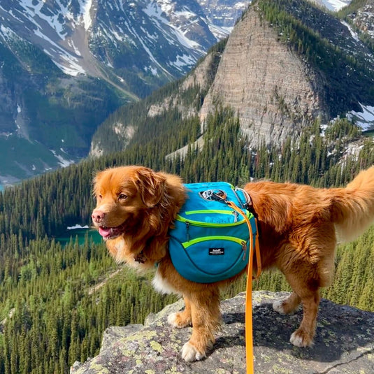 Mountaineer Dog Backpack Stand-Alone Harness Rocky Mountain Dog