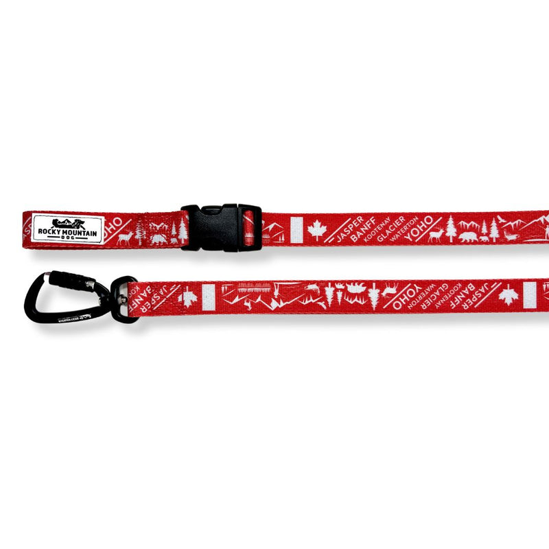 Load image into Gallery viewer, Canadian Rockies Dog Leash
