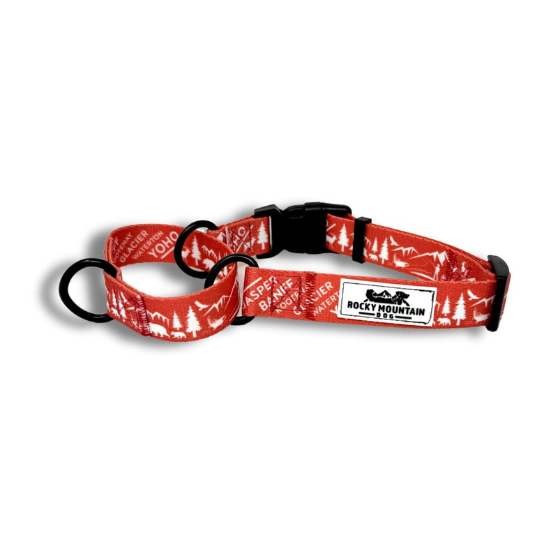 Canadian Rockies Martingale Clip Collar Rocky Mountain Dog
