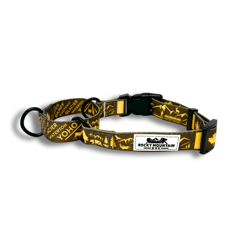 Load image into Gallery viewer, Canadian Rockies Martingale Clip Collar
