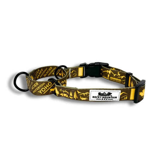 Bee dog collar best sale