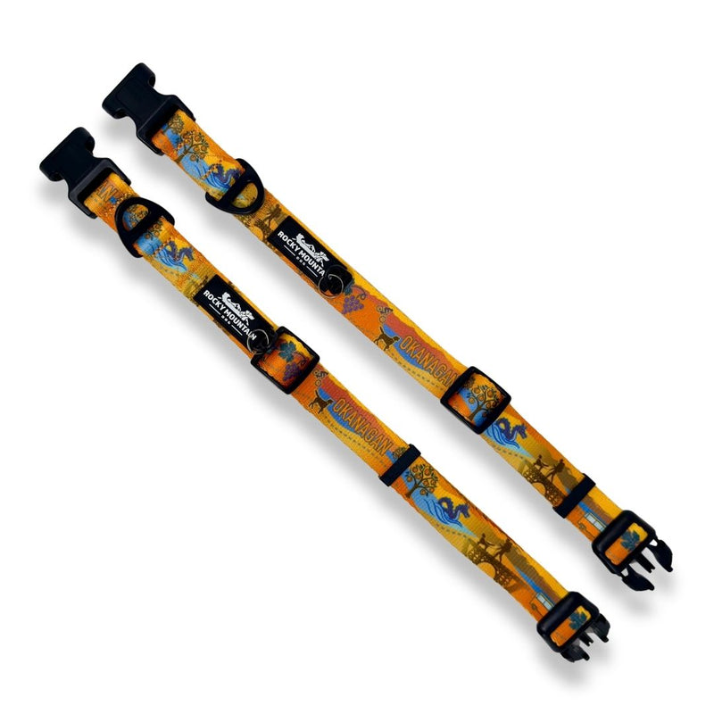 Load image into Gallery viewer, Okanagan Alpine Dog Collar
