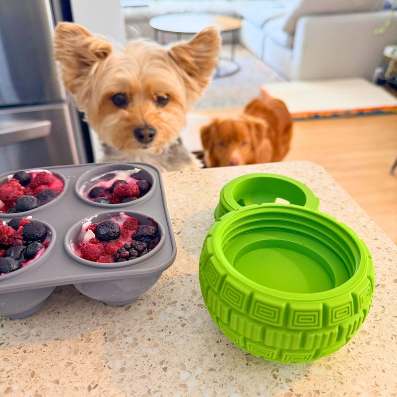 Load image into Gallery viewer, The Sphere Interactive Frozen Treat Toy
