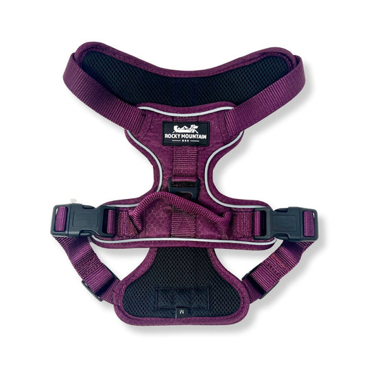 Summit All-Terrain Dog Harness - Rocky Mountain Dog