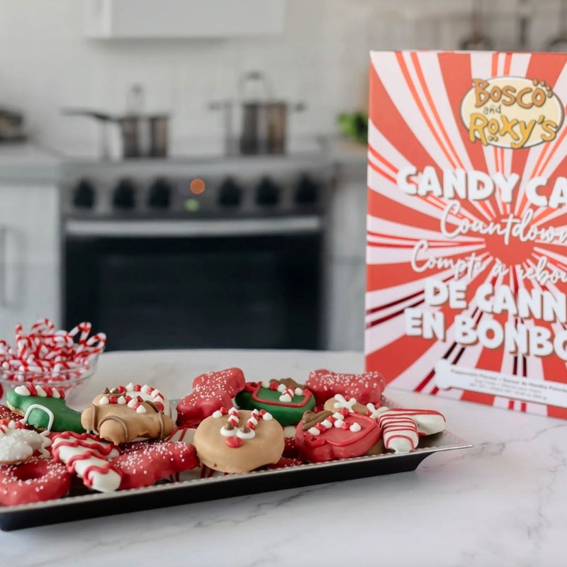 Load image into Gallery viewer, Premium Musical Advent Calendar - 24 Days of Treats
