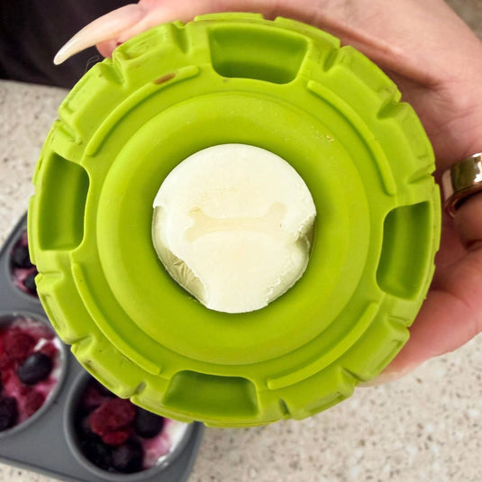 The Sphere Interactive Frozen Treat Toy