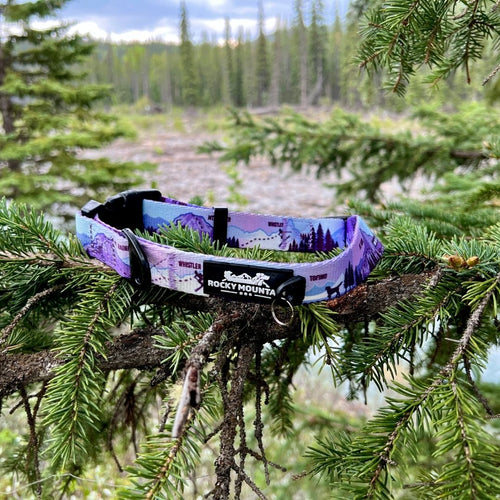 PNW Alpine Dog Collar