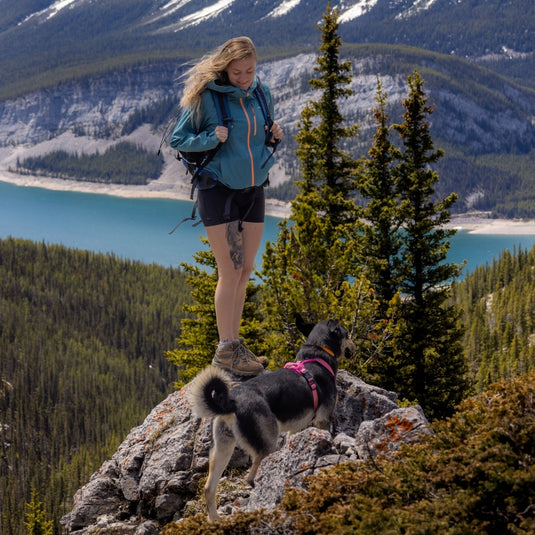 How To Prepare Your Dog for Their First Backpacking Trip