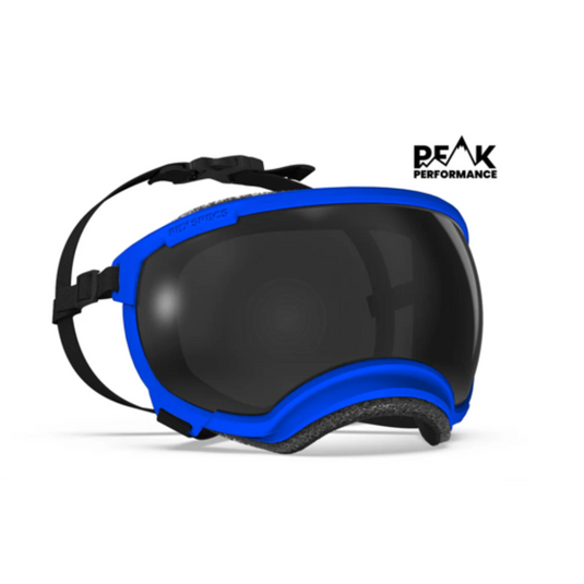 V2 Extra Small Dog Goggles | Rocky Mountain Dog V2 Extra Small Dog Goggles | Rocky Mountain Dog