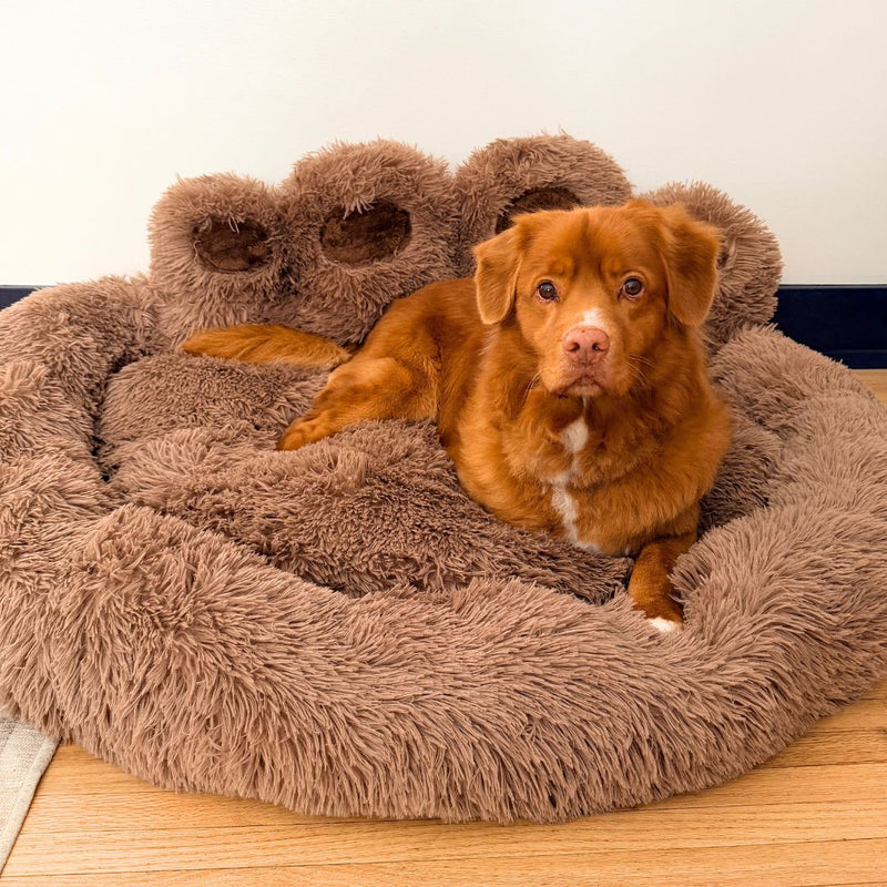 Load image into Gallery viewer, Bigfoot Dog Bed
