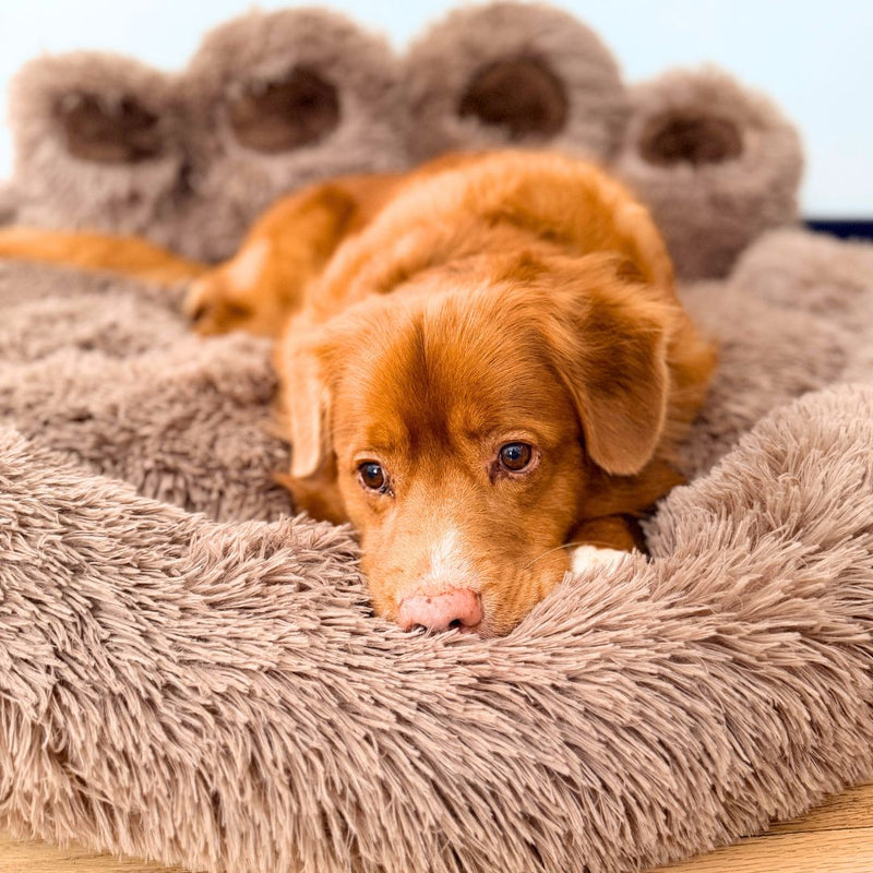 Load image into Gallery viewer, Bigfoot Dog Bed
