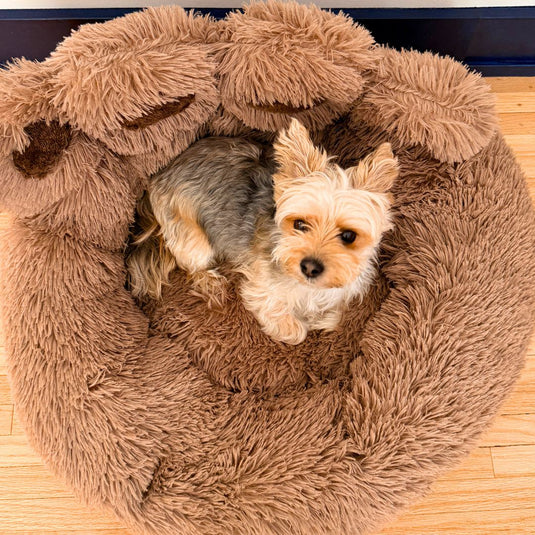 Bigfoot Dog Bed