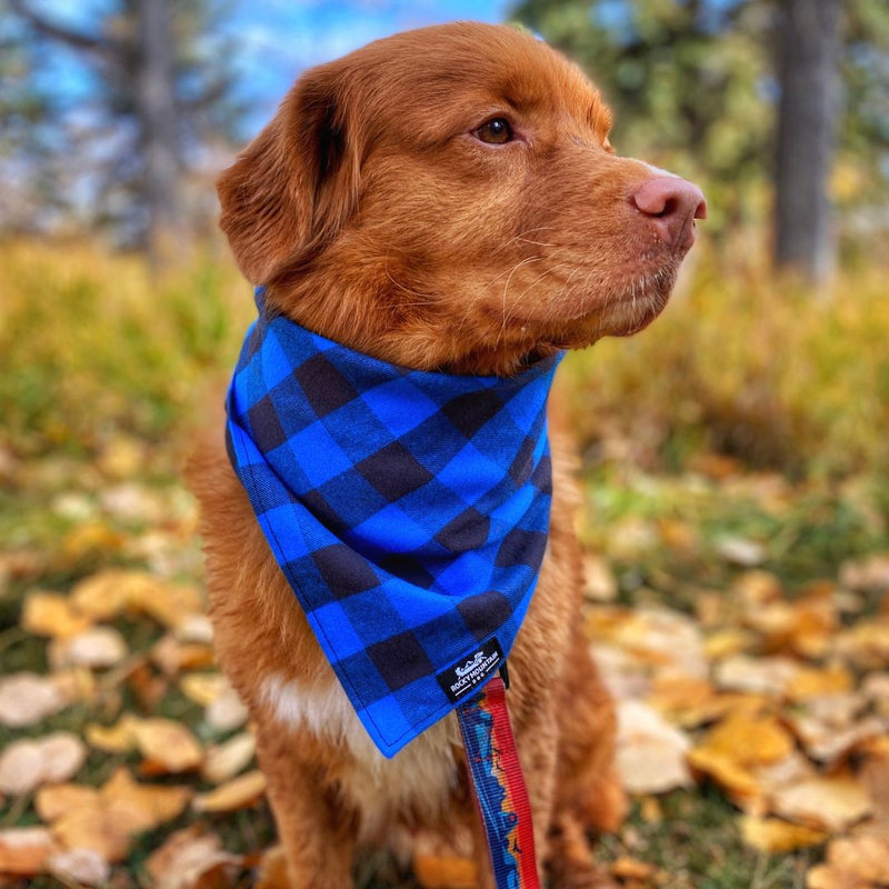 Load image into Gallery viewer, Flannel Dog Bandana
