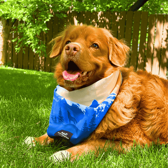 Canmore Three Sisters Bandana