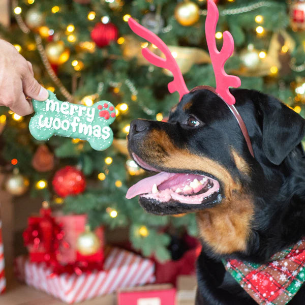 Load image into Gallery viewer, Merry Woofmas, 6&#39;&#39; Bone - Dog Cookie
