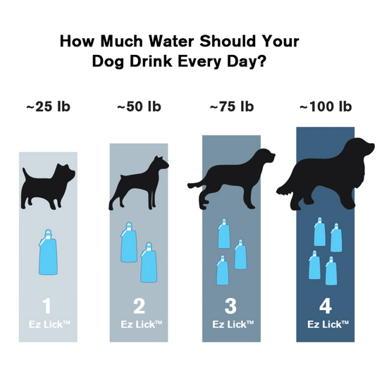 Vapur Ez Lick Portable Dog Water Bottle